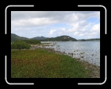 Tortola 228 * 2592 x 1944 * (2.45MB)